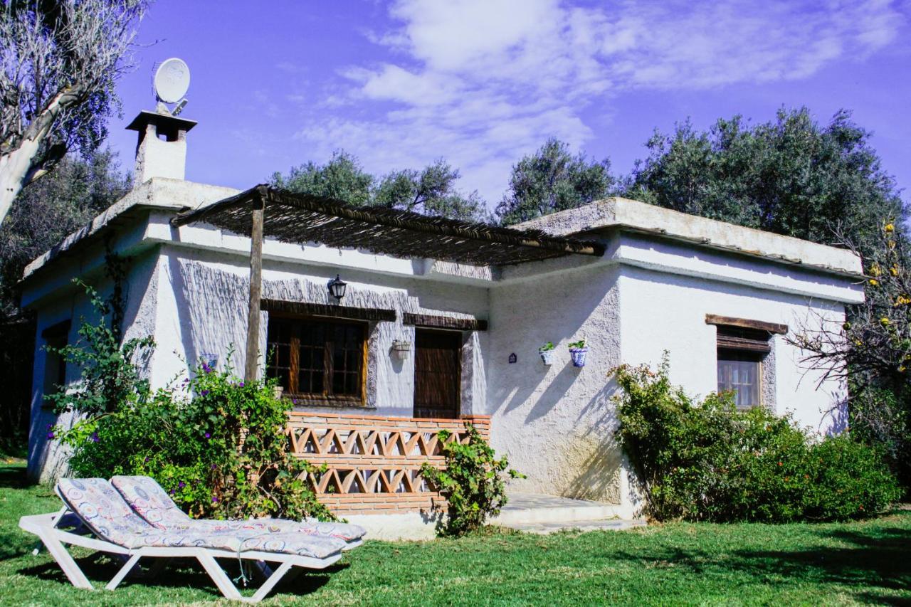Cortijo Puerta Casas Rurales オルヒバ エクステリア 写真