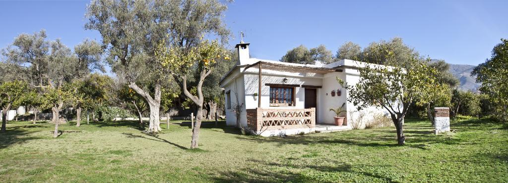 Cortijo Puerta Casas Rurales オルヒバ エクステリア 写真